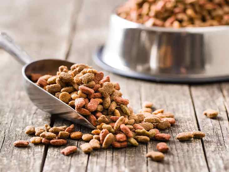 Top 10 Dog Food Brands In India